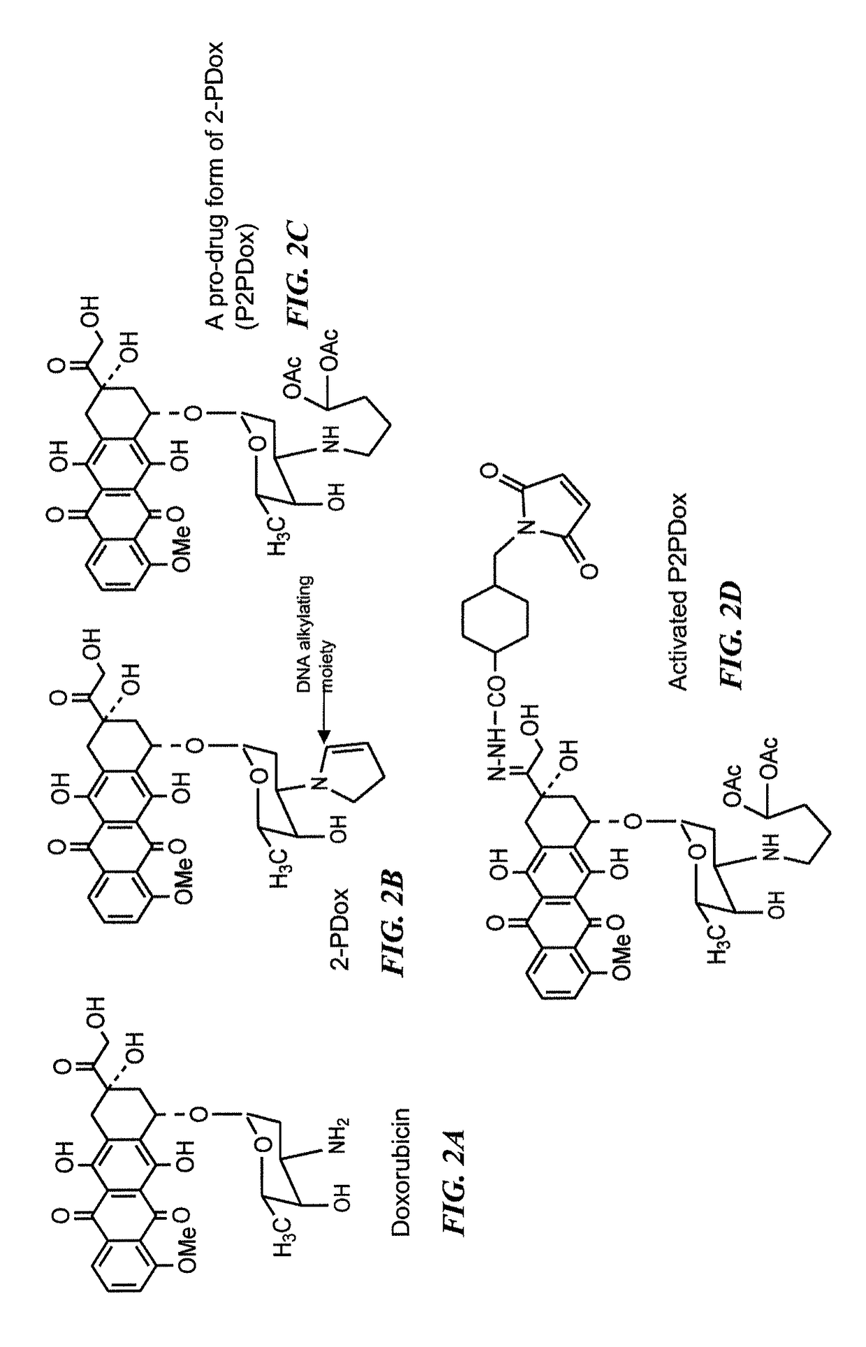 Neoadjuvant use of antibody-drug conjugates