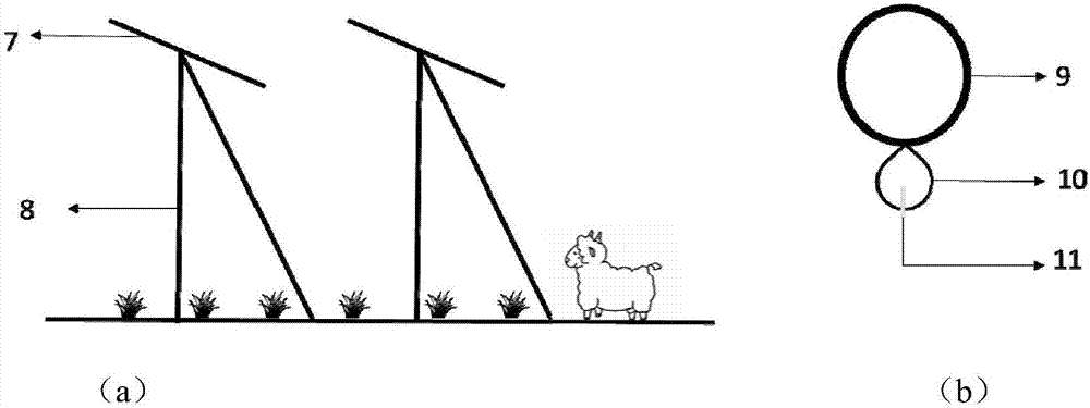 Method for utilizing photovoltaic facilities to carry out half-stocking rotational grazing of mutton sheep