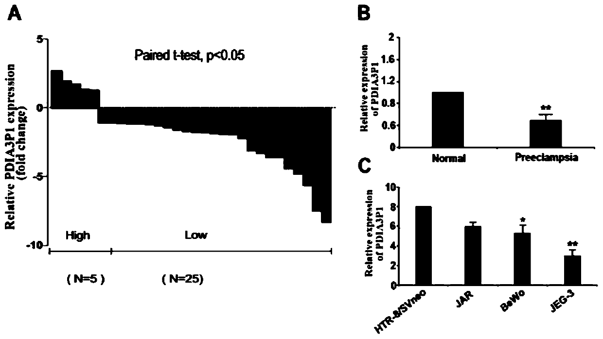 Long non-coding RNA (ribonucleic acid) and application thereof in diagnosing/treating preeclampsia