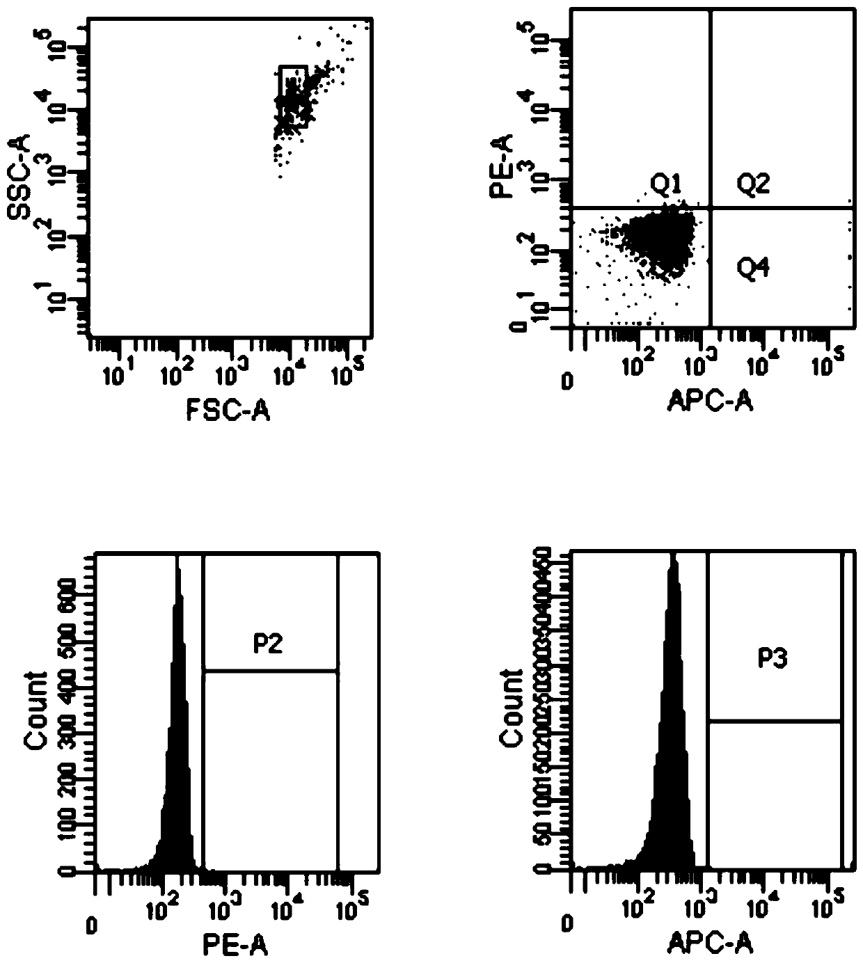 Method for detecting content of proximal renal tubule source exosome in urine