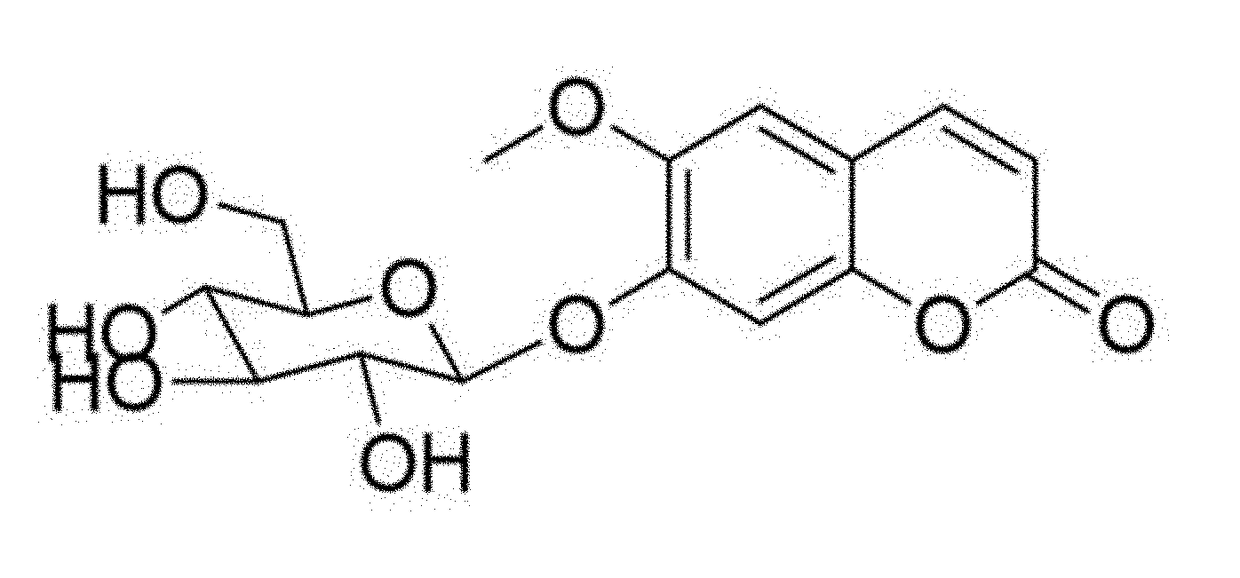 Composition for preventing, improving or treating postmenopausal osteoporosis comprising scopolin