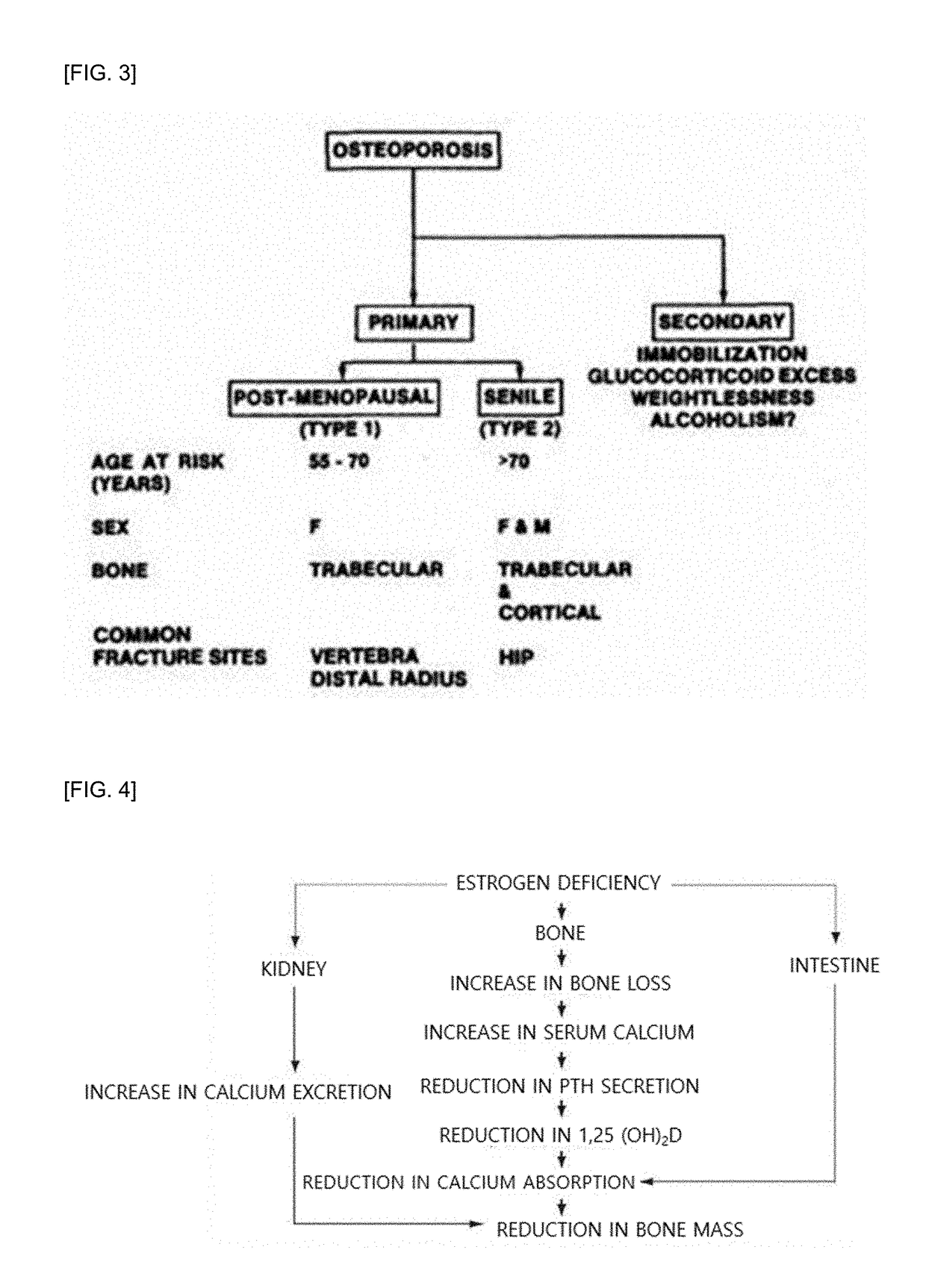 Composition for preventing, improving or treating postmenopausal osteoporosis comprising scopolin