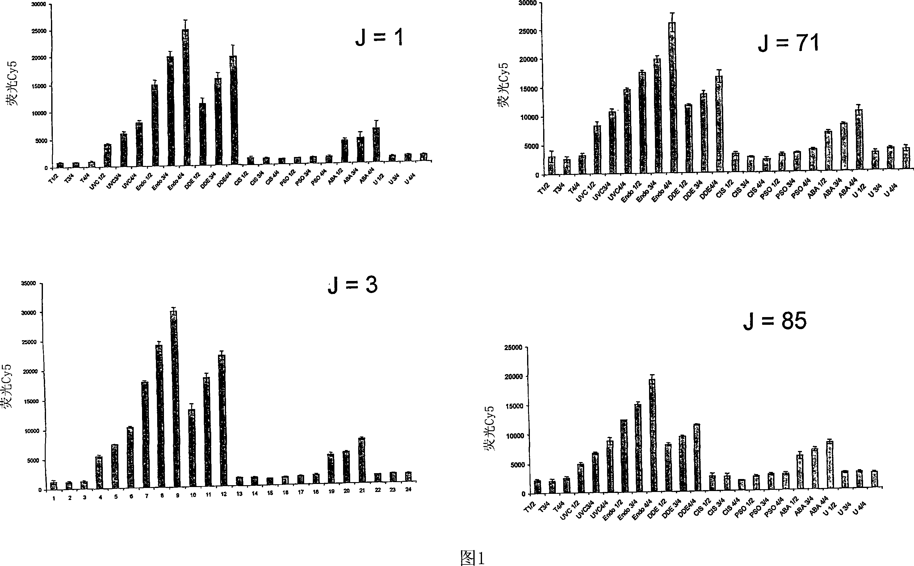 Method for fixing a supercoiled DNA and the use for analysing the dna repair