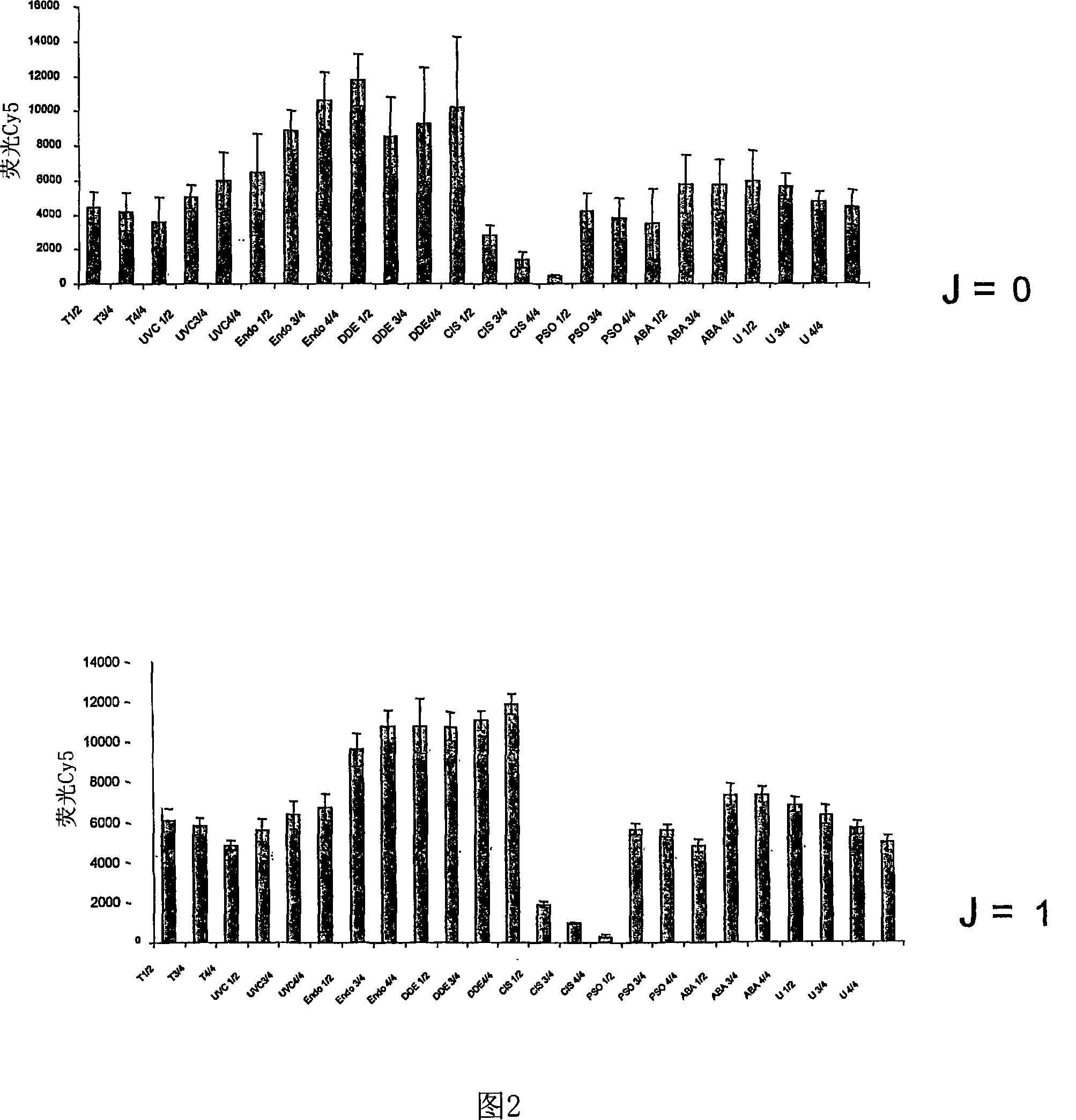 Method for fixing a supercoiled DNA and the use for analysing the dna repair