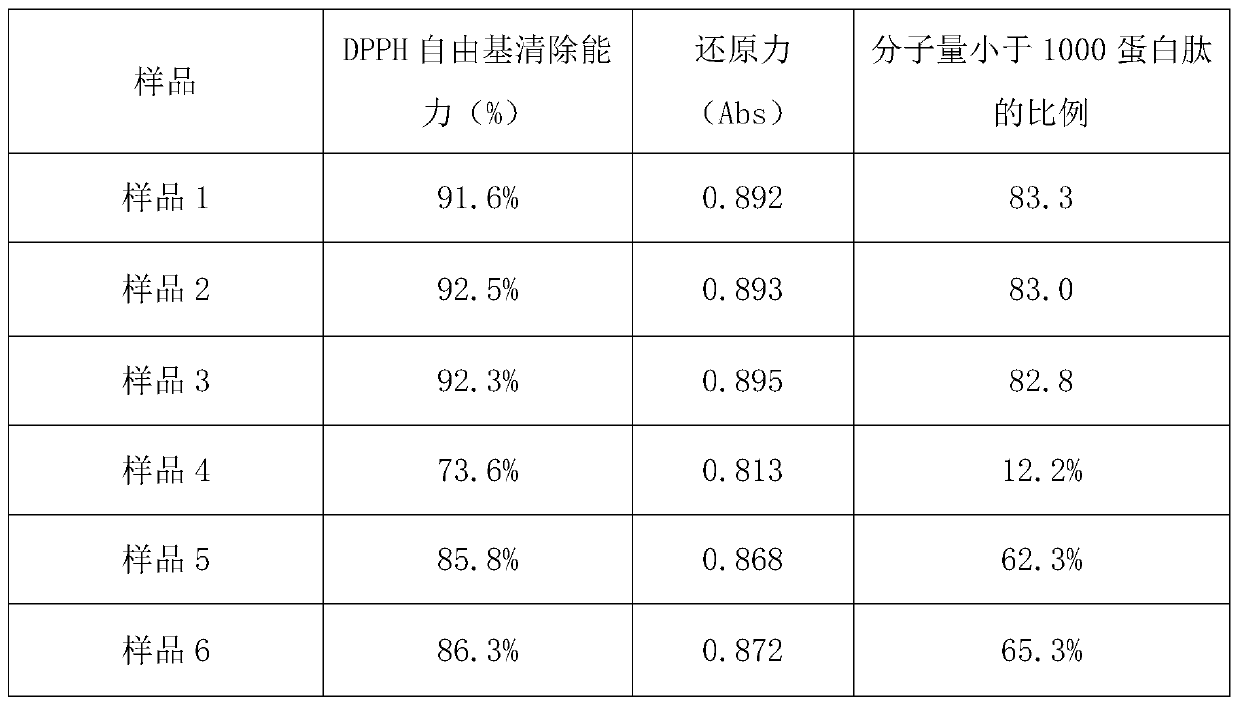 Algal protein peptide with ACE inhibition and antioxidant functions and preparation method of algal protein peptide