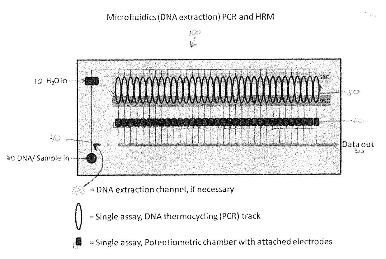 Microfluidics polymerase chain reaction and high resolution melt detection