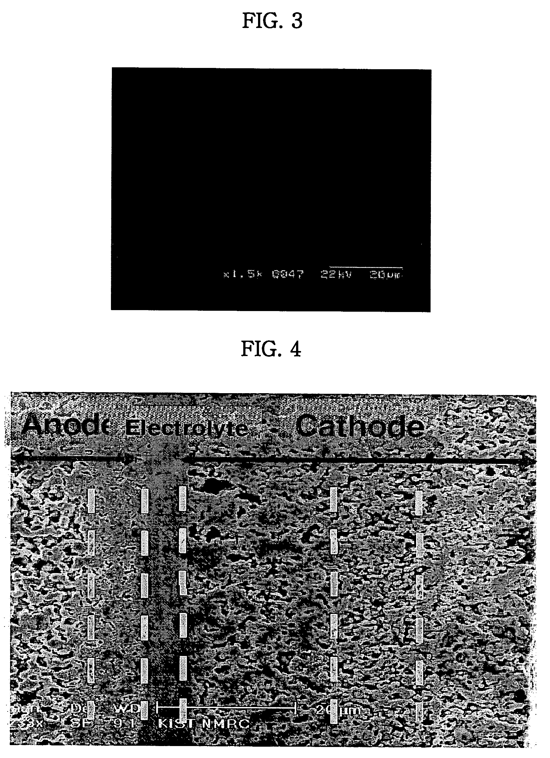 Paste for solid oxide fuel cells, anode-supported solid oxide fuel cells using the same, and fabricating method thereof