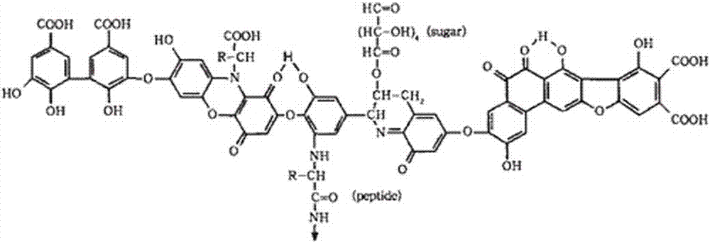 A kind of oxidized peat fulvic acid composite water retaining agent and preparation method thereof