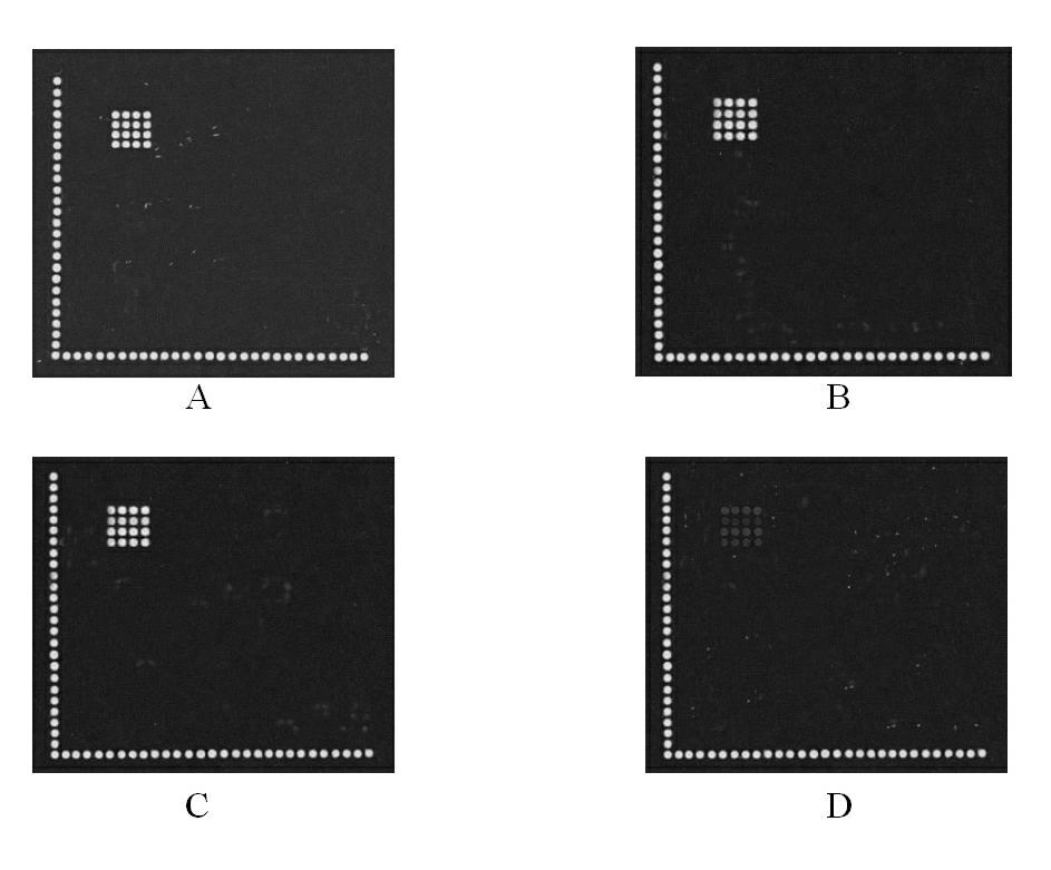 Gene chip for high-flux detection of pathogens and application thereof