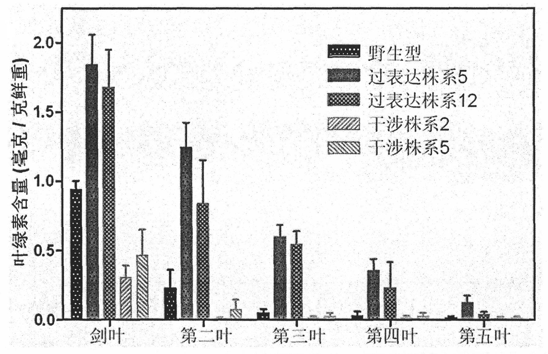 Rice secretary type thioredoxin gene and application thereof
