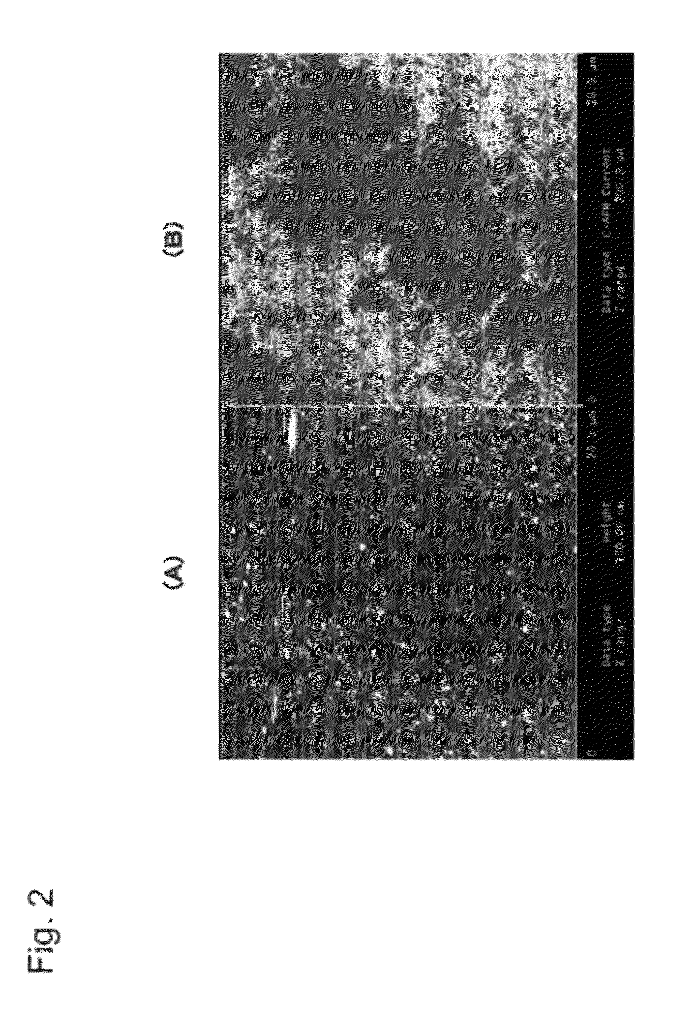 Carbon nanotube dispersion liquid and method for manufacturing semiconductor device