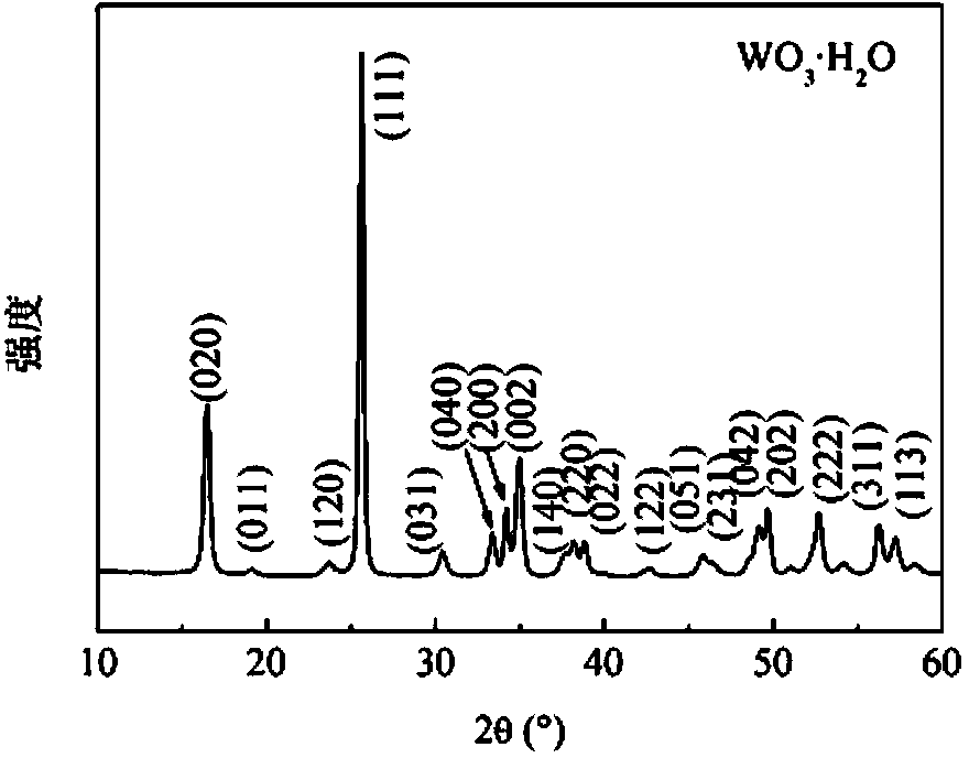Method for preparing WO3.H2O hollow sphere assembled by nanosheets