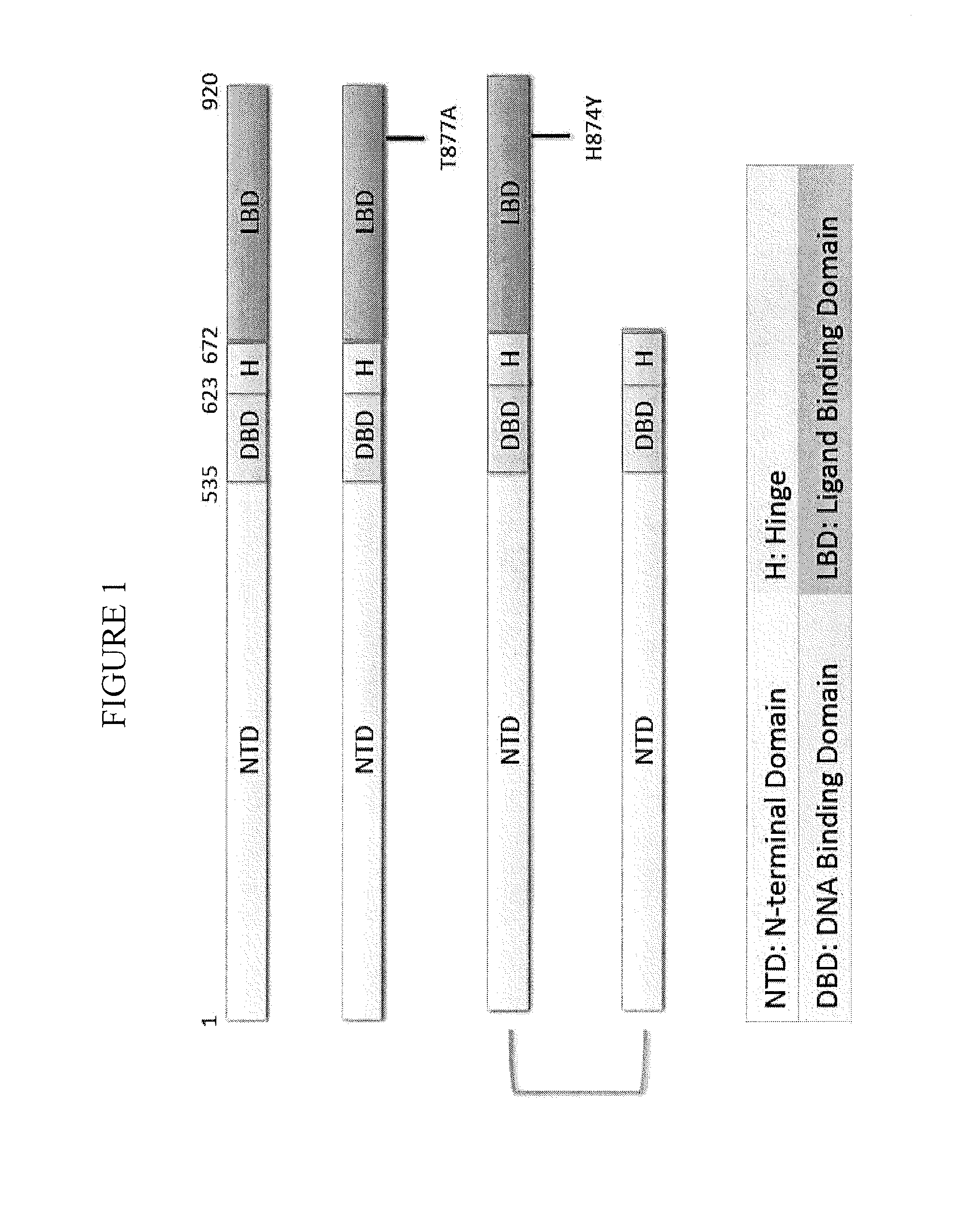 Nuclear receptor modulators and their use for the treatment and prevention of cancer