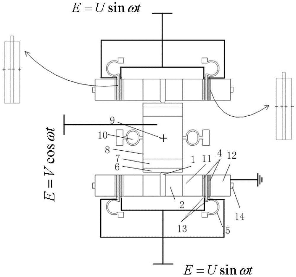 A Standing Wave Linear Ultrasonic Motor