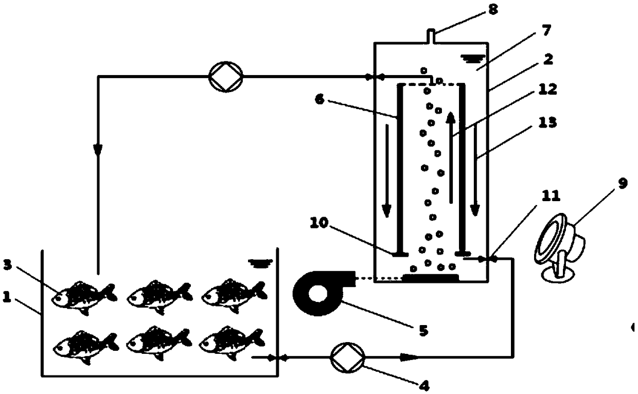 A fish-bacteria-algae symbiosis ecological breeding system and its operation method