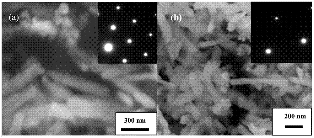 One-dimensional single crystal LaFeO3 nanorods and preparation thereof