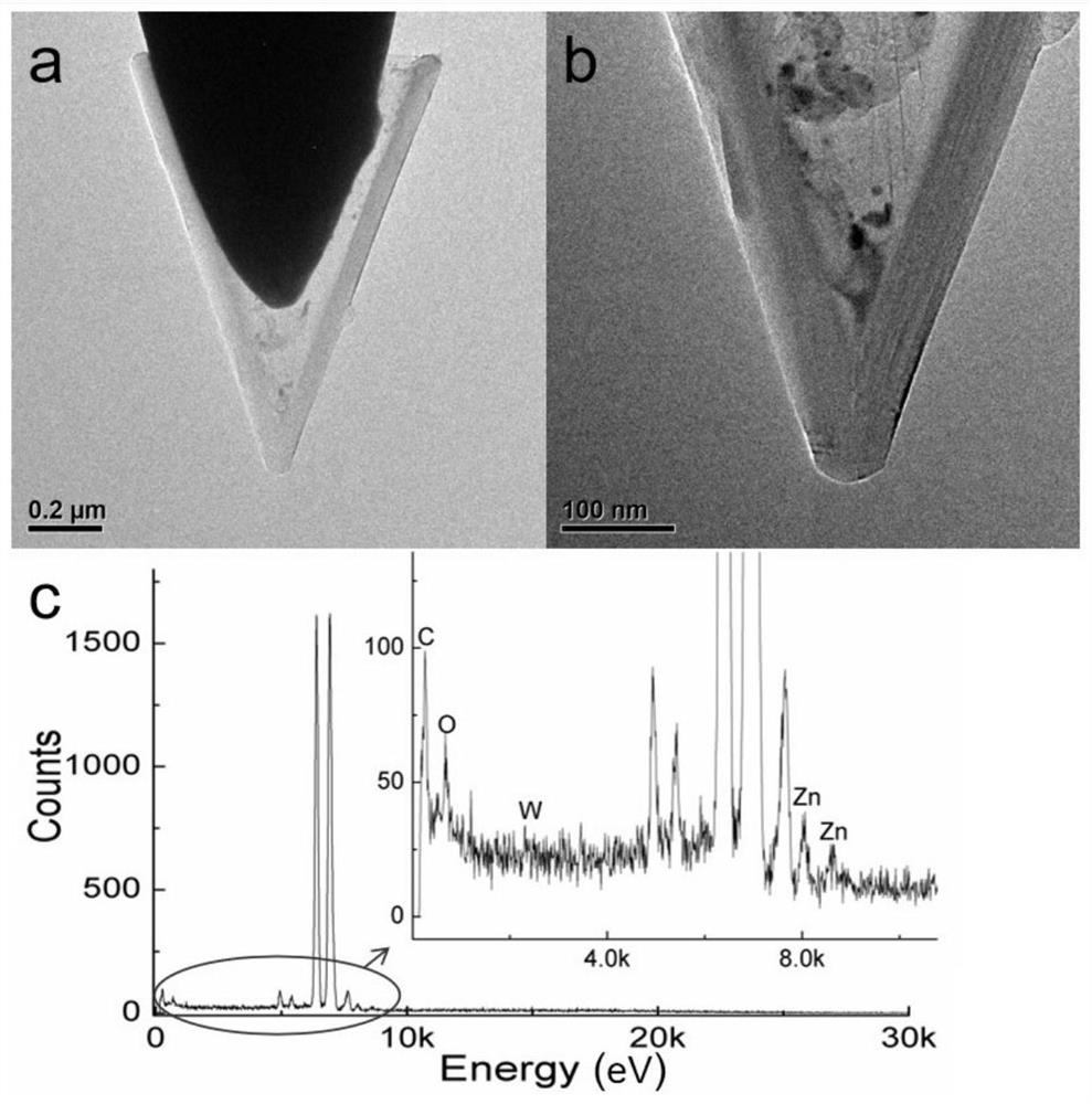 Carbon nanomaterial functionalized needle tip modified by low work function material and preparation method of carbon nanomaterial functionalized needle tip