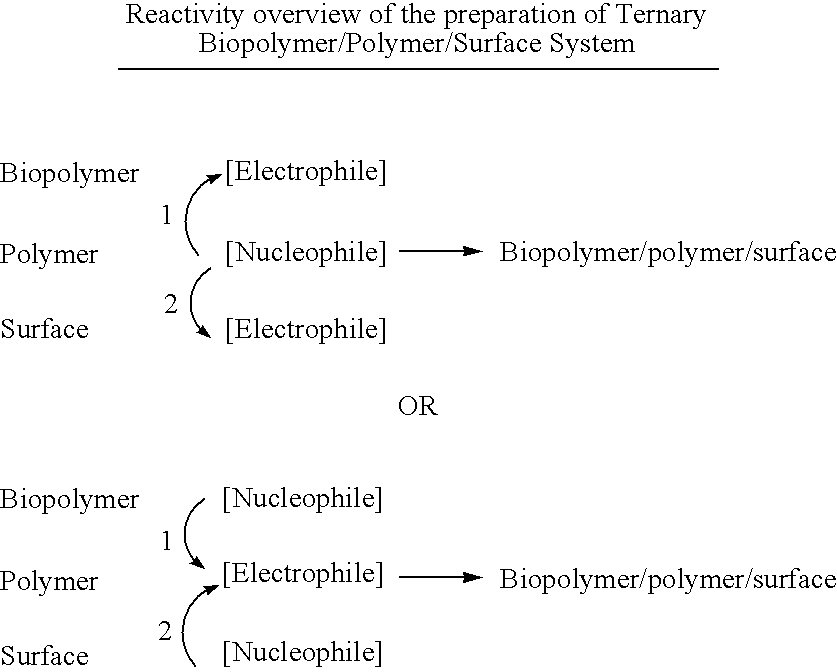 Biomolecule/polymer conjugates