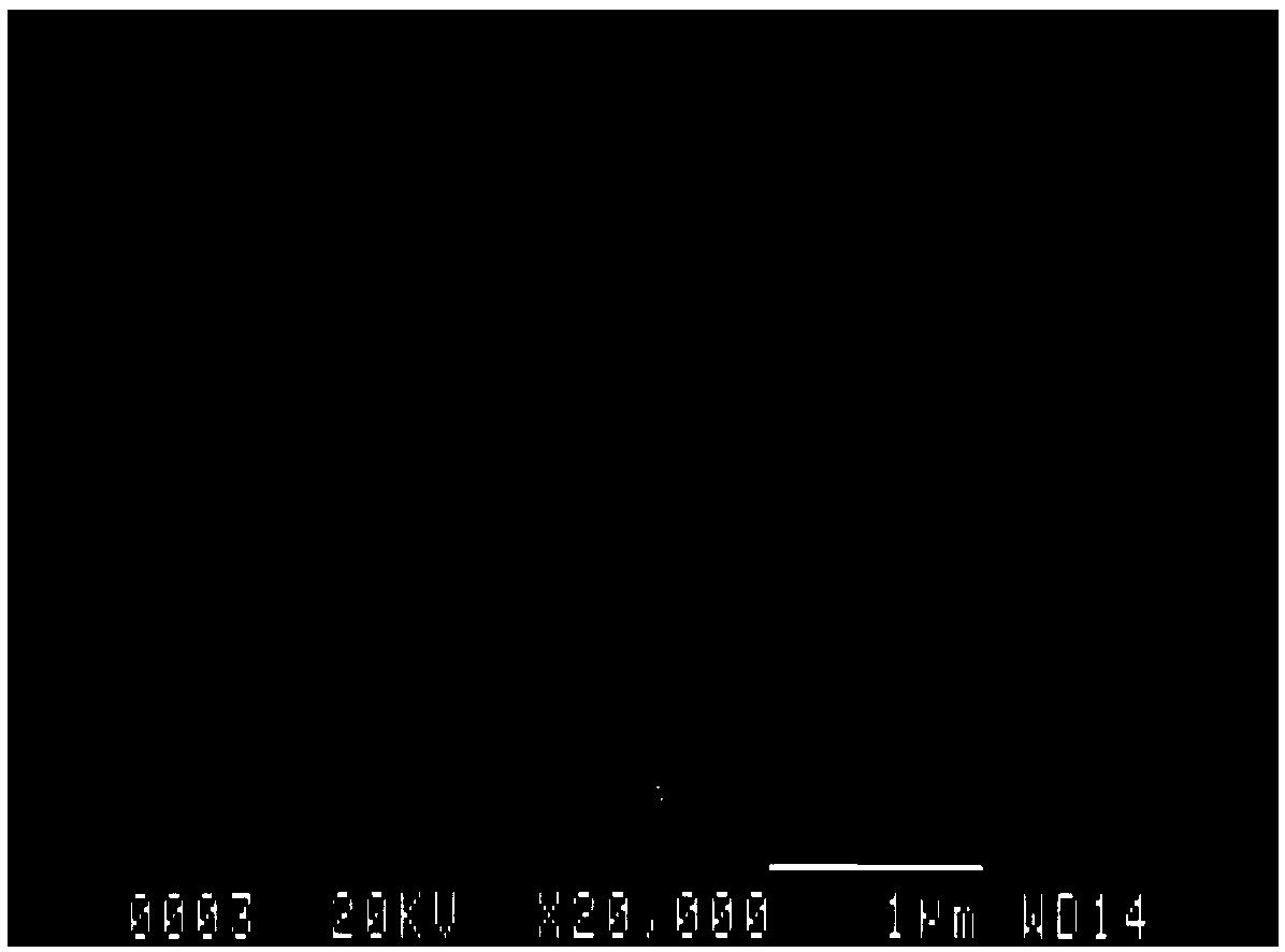 Paenibacillus pabuli, culture medium thereof and application of paenibacillus pabuli in preparation of enteromorpha prolifera polysaccharide degrading enzymes