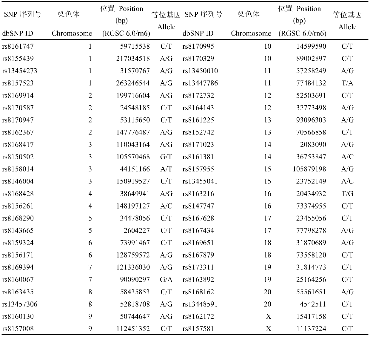 KASP-based rat genetic quality monitoring SNP marker typing method and kit