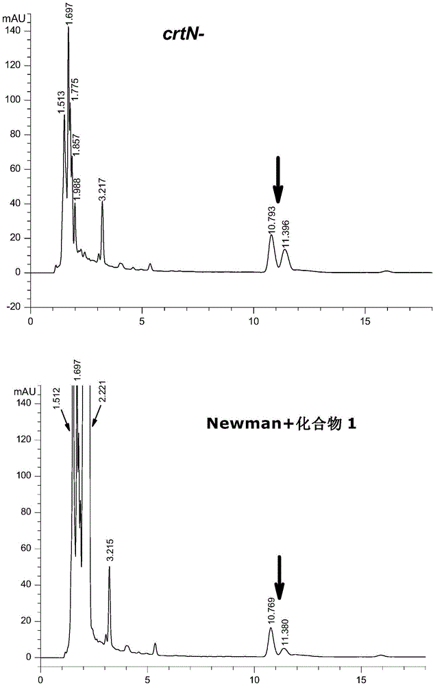 Derivatives of naftifine hydrochloride as well as preparation method and application thereof