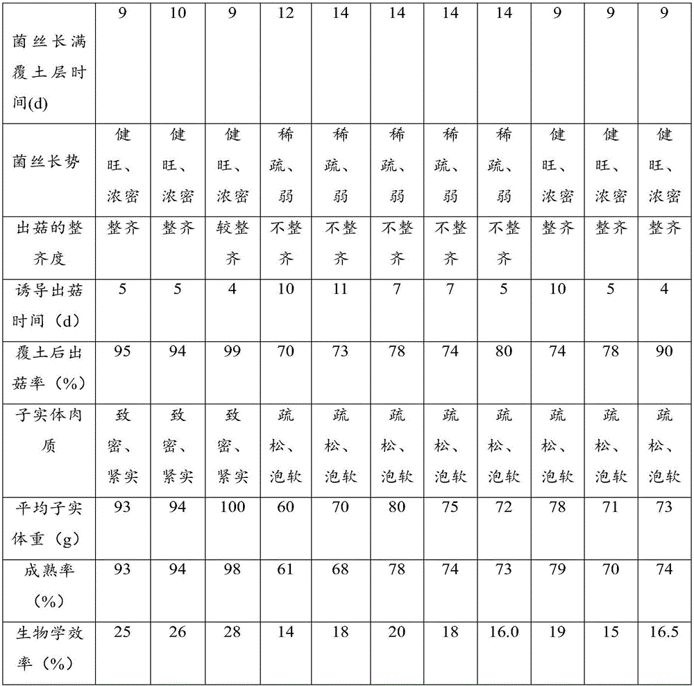 Industrialized boletus aereus bottle-culture method