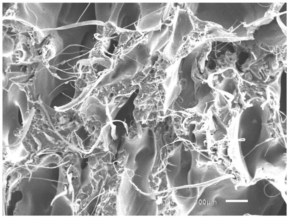 A kind of modified ABS foam material and preparation method thereof