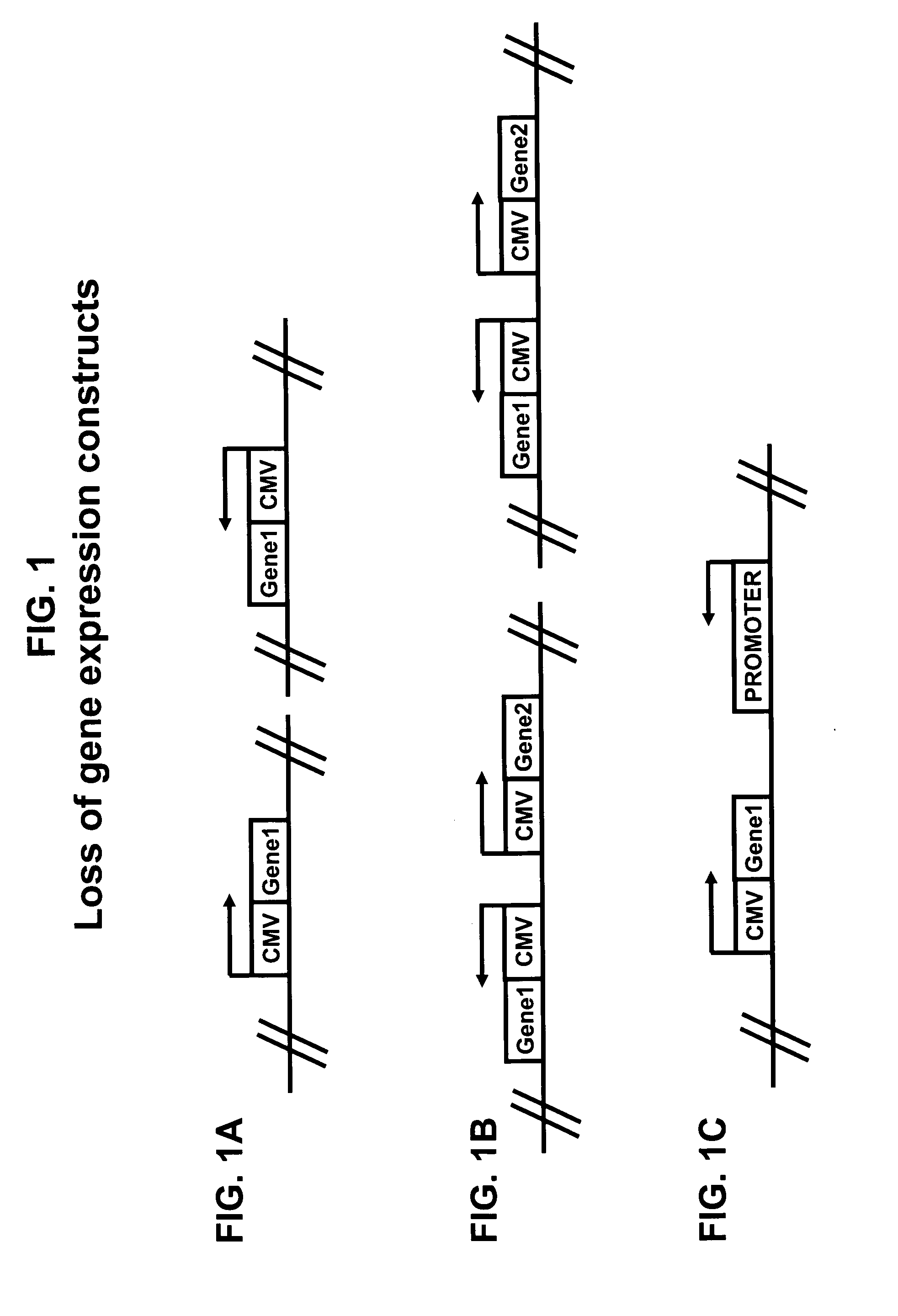 Method for improving protein production