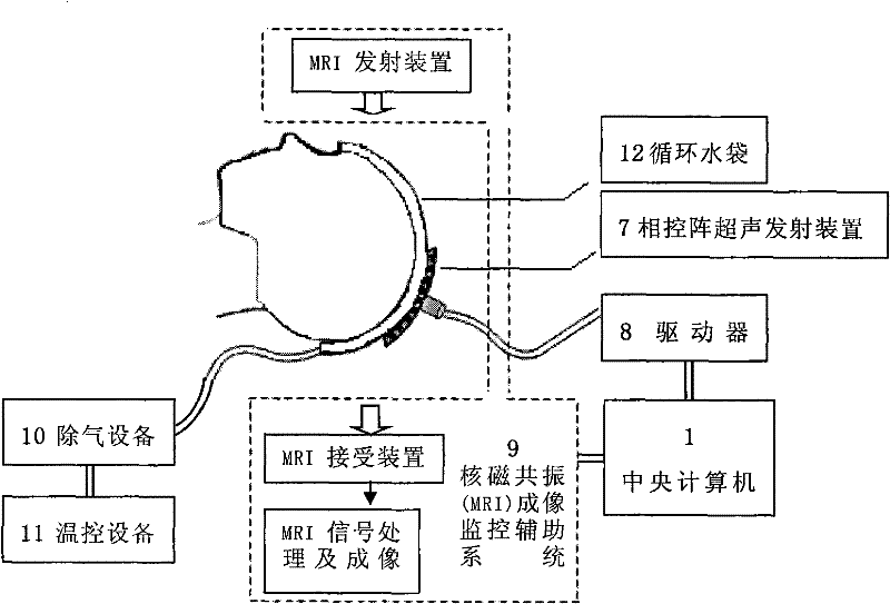 Conformal ultrasonic system for enforcing medicaments to permeate blood brain barrier