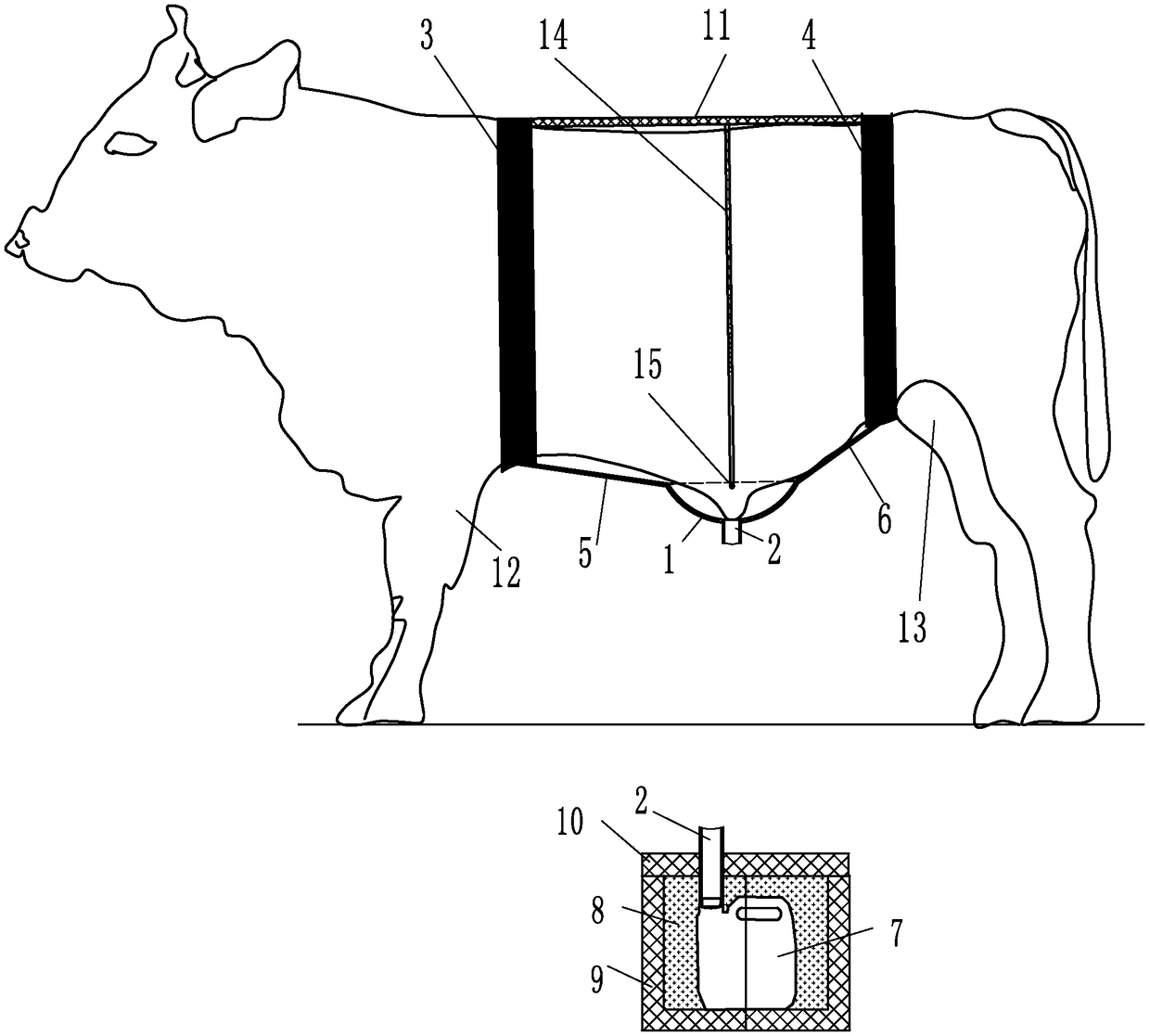 Fixing structure for urine bag of bull