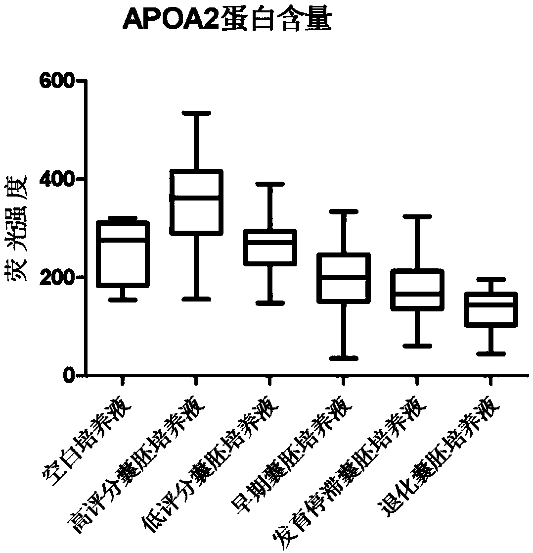 Method of judging quality of blastocyst by using protein chip