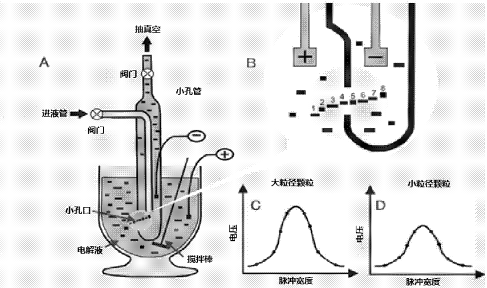 Method for preparing kaolinite with high radius-thickness ratio, and measuring and calculating radius-thickness ratio of kaolinite