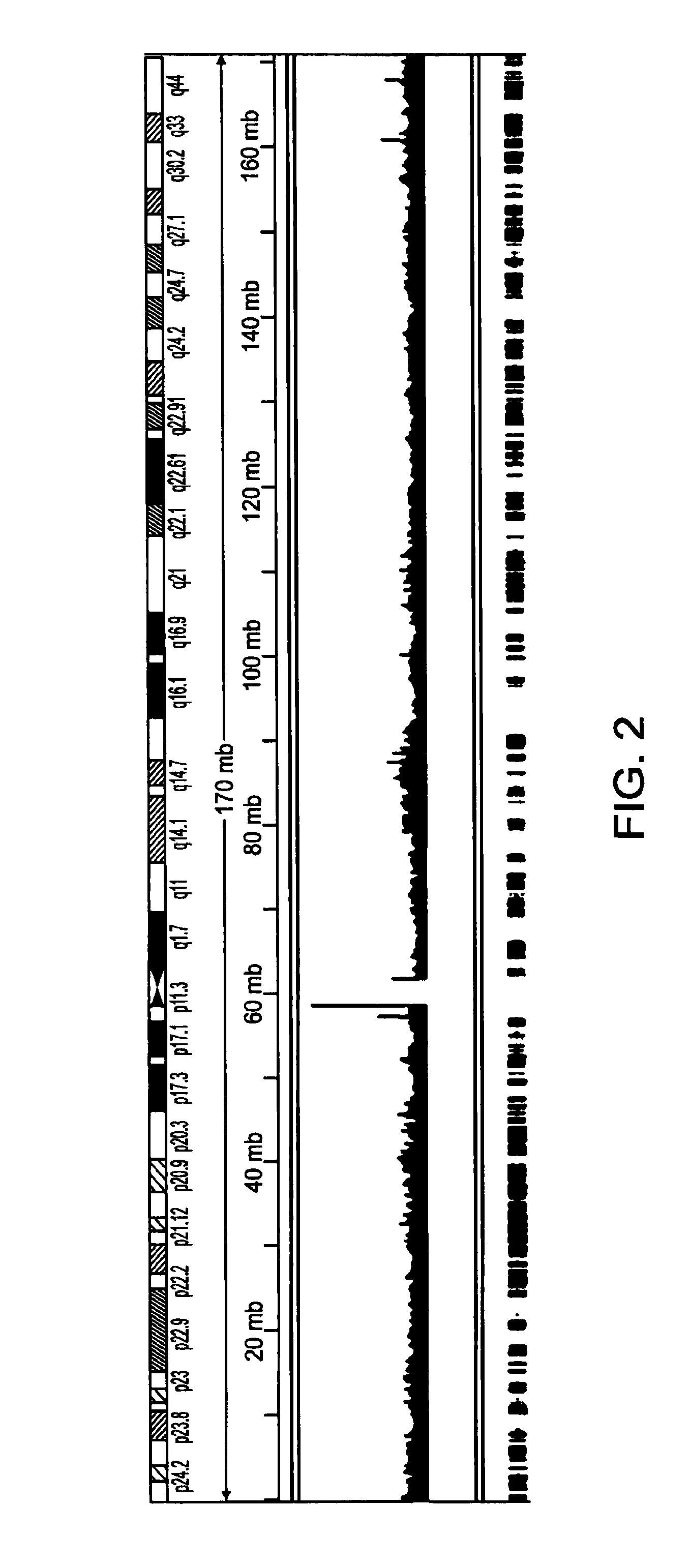 Methods of Amplifying Whole Genome of a Single Cell