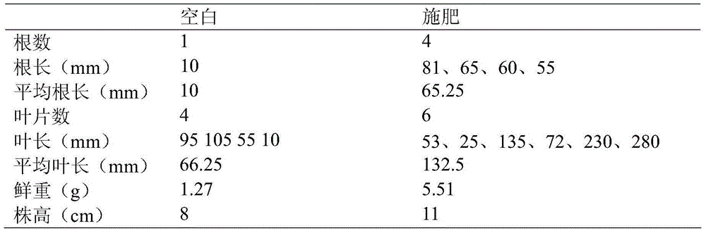 Liquid compound biological fertilizer with long shelf life as well as preparation method and application thereof