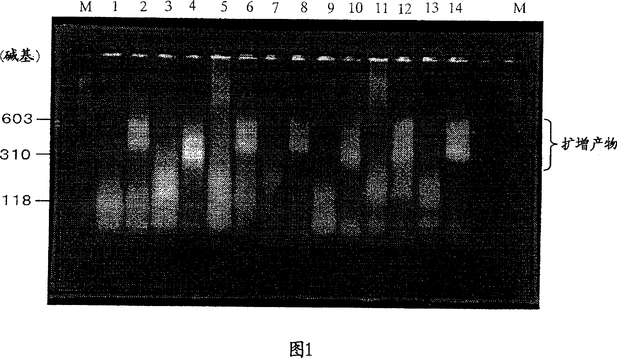 Method of detecting micrometastasis