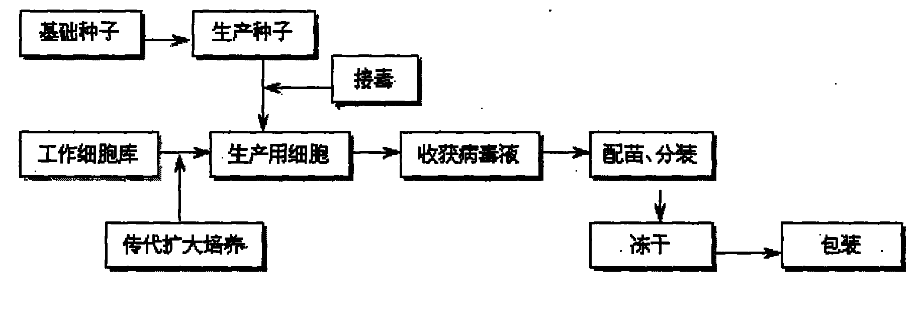 Method for producing swine fever live vaccine by using porcine kidney cell line (IBRS-2) and product thereof