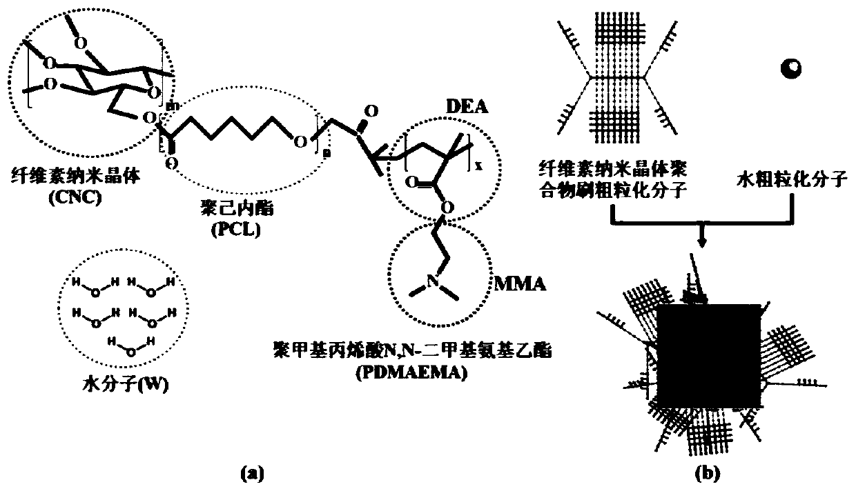 Method for simulating self-assembly behavior of rigid segmented block copolymer solution