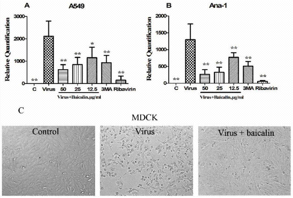 Application of AhR (Aryl hydrocarbon receptor) protein inhibitor to preparation of antiviral drugs