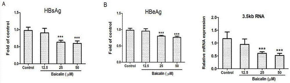 Application of AhR (Aryl hydrocarbon receptor) protein inhibitor to preparation of antiviral drugs