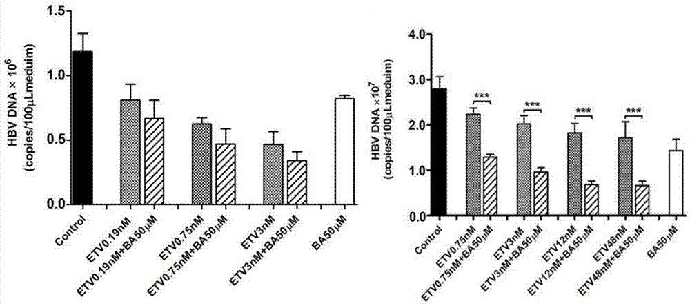 Application of AhR (Aryl hydrocarbon receptor) protein inhibitor to preparation of antiviral drugs