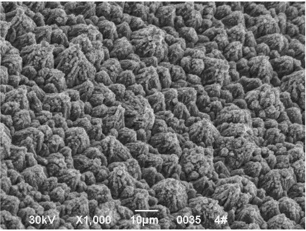 Additive for roughening surface of copper foil