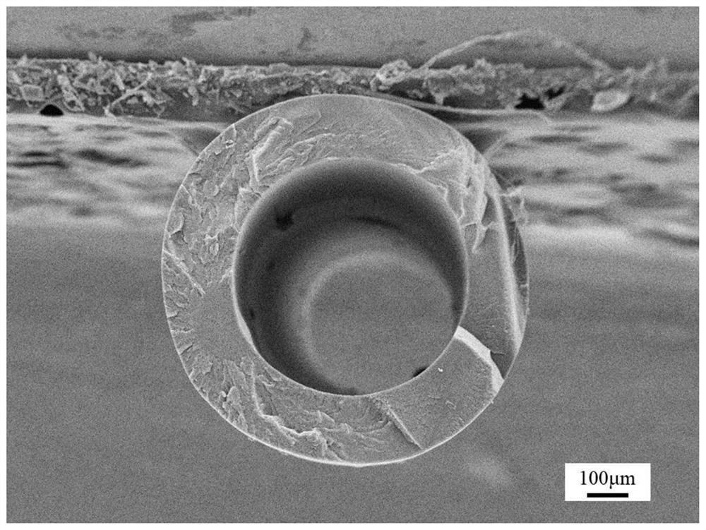 Polyether-ether-ketone hollow fiber membrane as well as preparation method and membrane absorption application thereof