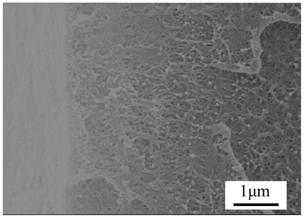 Polyether-ether-ketone hollow fiber membrane as well as preparation method and membrane absorption application thereof