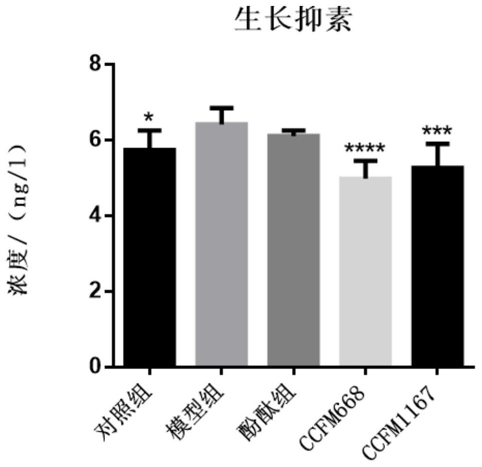 Bifidobacterium bifidum for relieving constipation and its fermented food and probiotic preparation