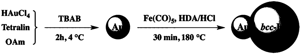 Preparation method of Fe-Au alloy nanoparticles with bcc structures