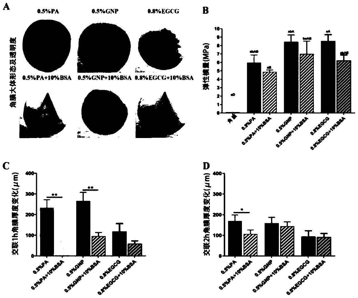 Cross-linking protective agent of cornea, and preparation method and application of cross-linking protective agent of cornea