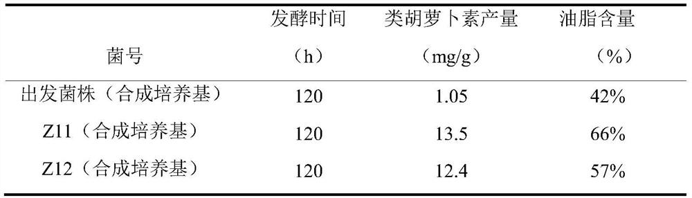 Strain for co-producing unsaturated fatty acid and carotenoid and application thereof