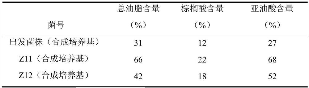 Strain for co-producing unsaturated fatty acid and carotenoid and application thereof