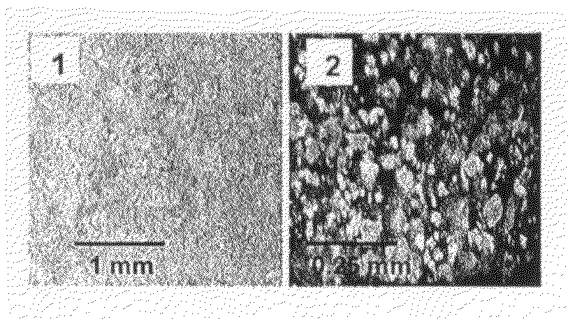 Cellulose composites comprising hydrophobic particles and their use in paper products