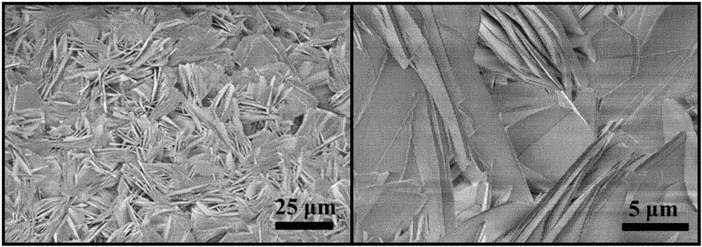 Two-dimensional nickel and cobalt MOFs (metal organic frameworks) nano-sheet and application of nano-sheet to glucose detection